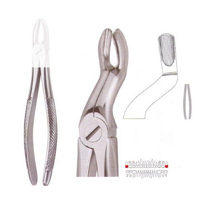 Extracting Forceps